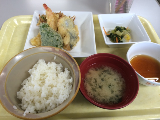 IMG_0193.jpeg