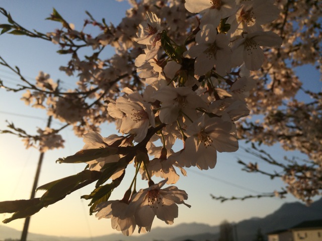 IMG_0190.jpeg