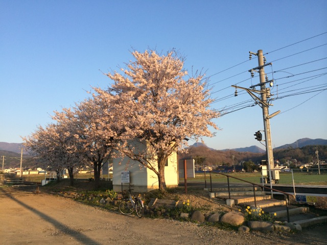 IMG_0185.jpeg