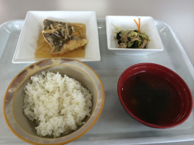 IMG_0181.jpeg