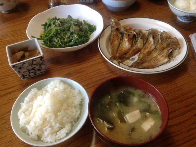 IMG_0277.jpeg