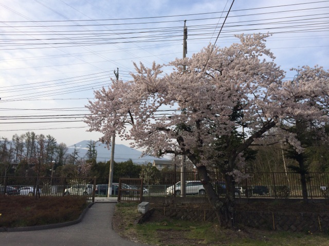 IMG_0266.jpeg