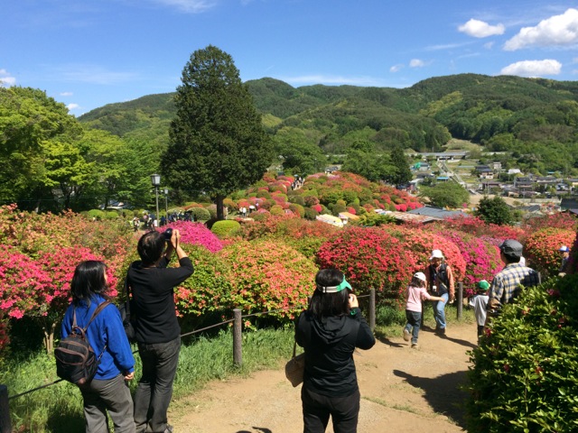 IMG_0387.jpeg