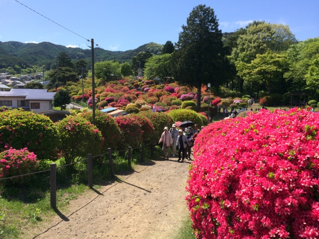 IMG_0386.jpeg