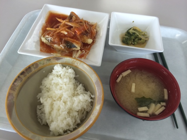 IMG_0404.jpeg