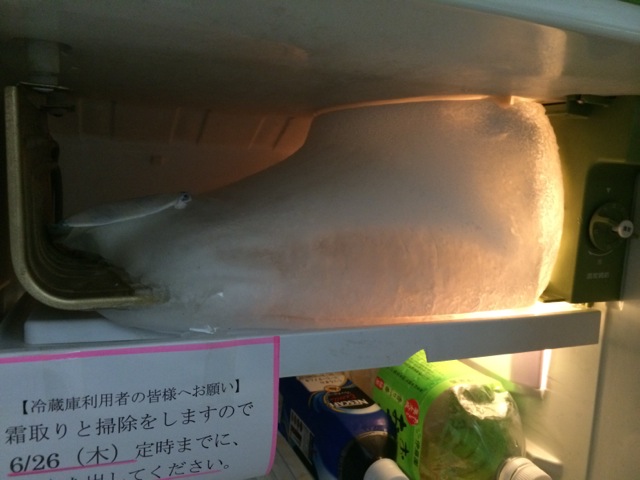 IMG_0751.jpeg