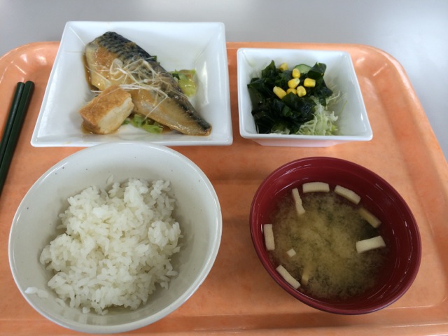 IMG_0750.jpeg