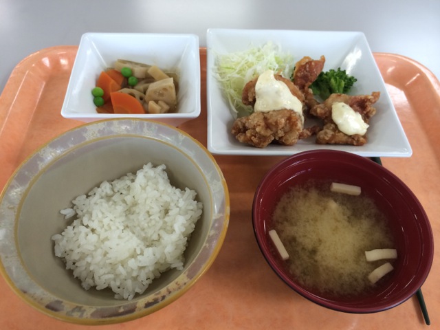 IMG_0737.jpeg
