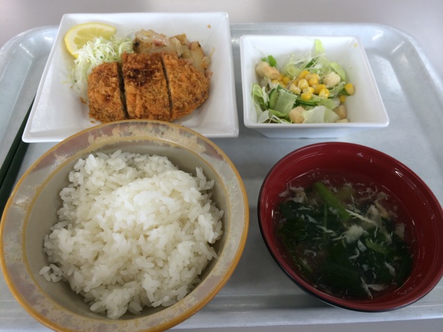 IMG_0791.jpeg