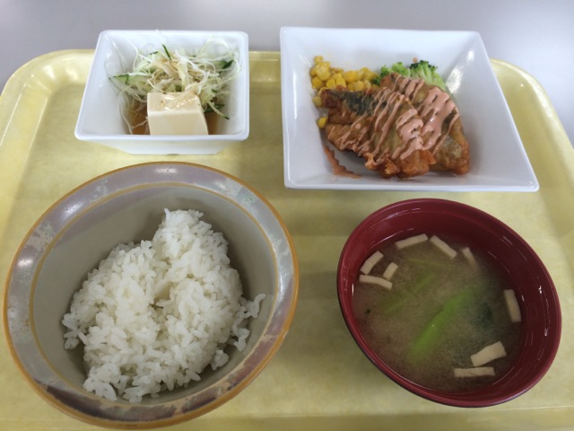 IMG_0822.jpeg