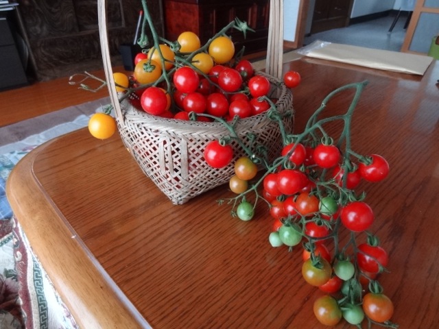 DSC00834.jpeg