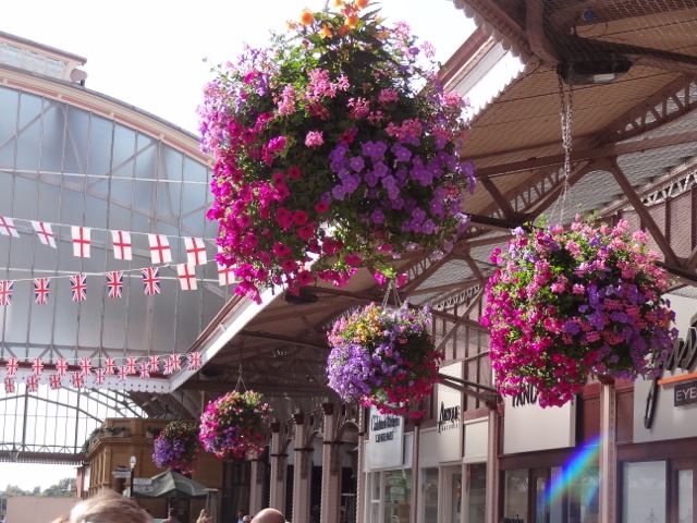 DSC00808.jpeg