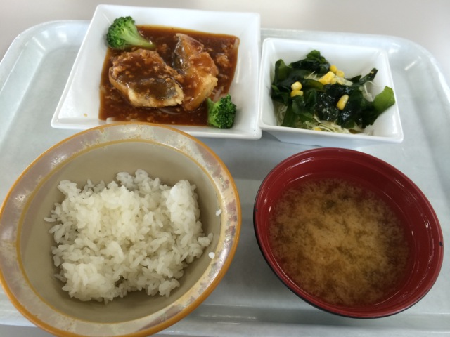 IMG_1009.jpeg