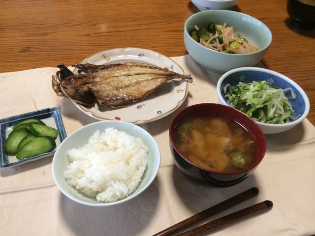IMG_1020.jpeg