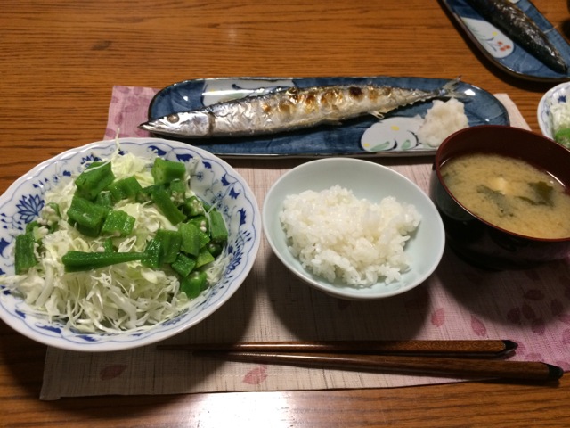 IMG_1100.jpeg