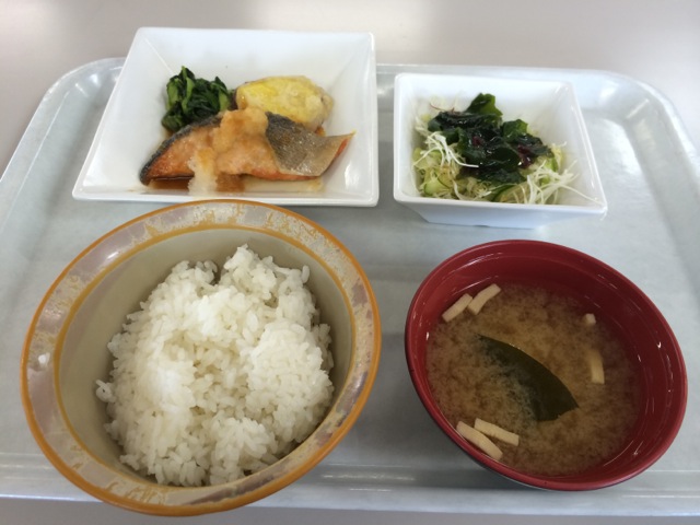 IMG_1099.jpeg