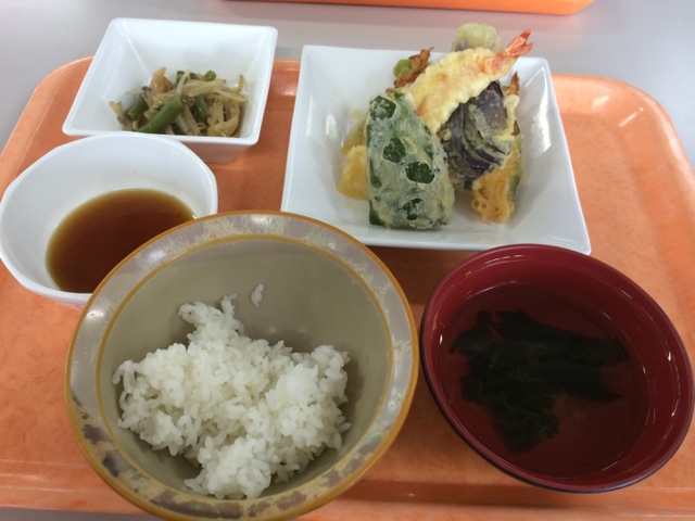 IMG_1147.jpeg