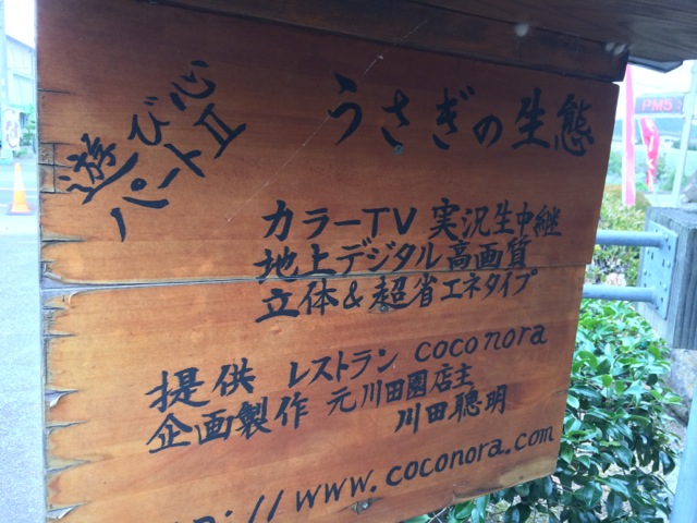 IMG_1191.jpeg