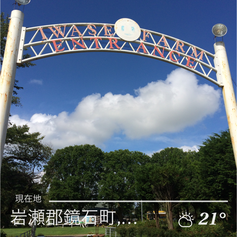 IMG_1181.PNG