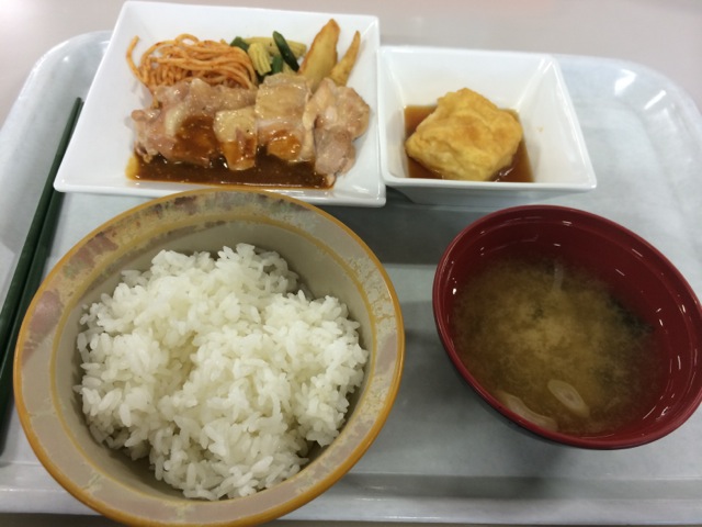 IMG_1224.jpeg