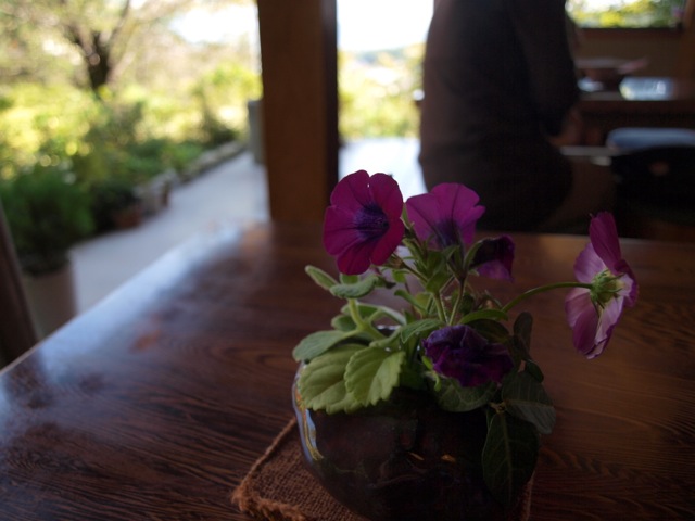 P9231941.jpeg
