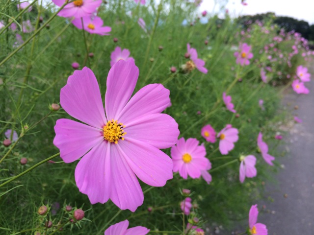 IMG_1283.jpeg