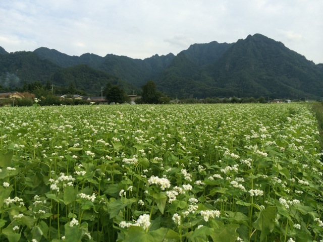 IMG_1280.jpeg