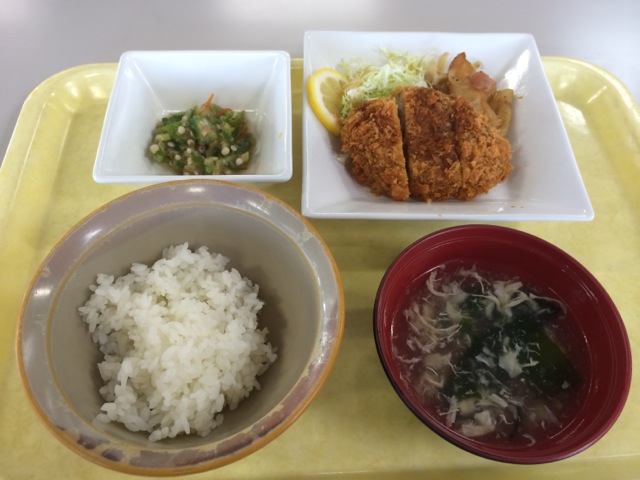 IMG_1341.jpeg