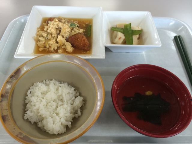 IMG_1234.jpeg