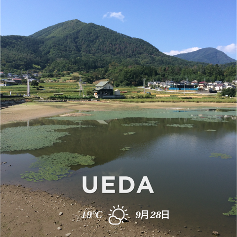 IMG_1348.PNG