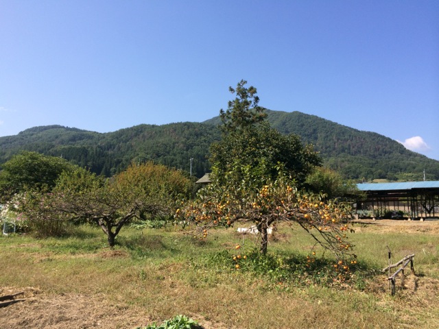 IMG_1349.jpeg