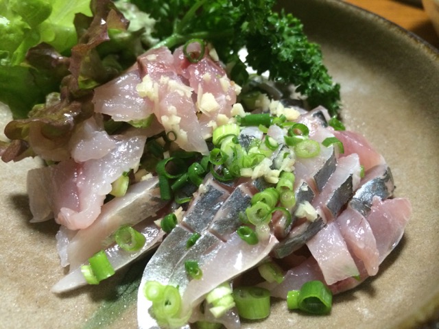 IMG_1392.jpeg