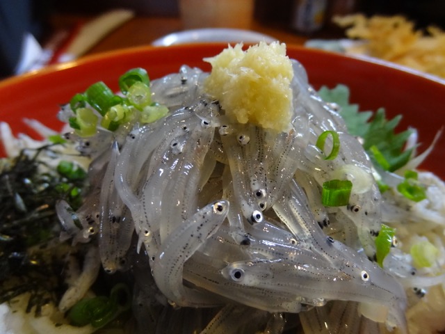 DSC00090.jpeg
