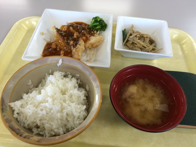 IMG_1643.jpeg