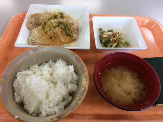 IMG_1519.jpeg