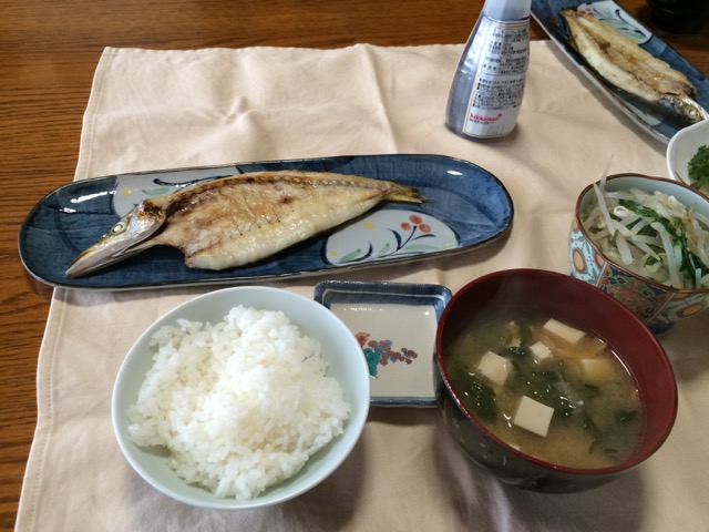IMG_1681.jpeg