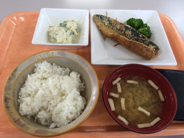 IMG_1737.jpeg
