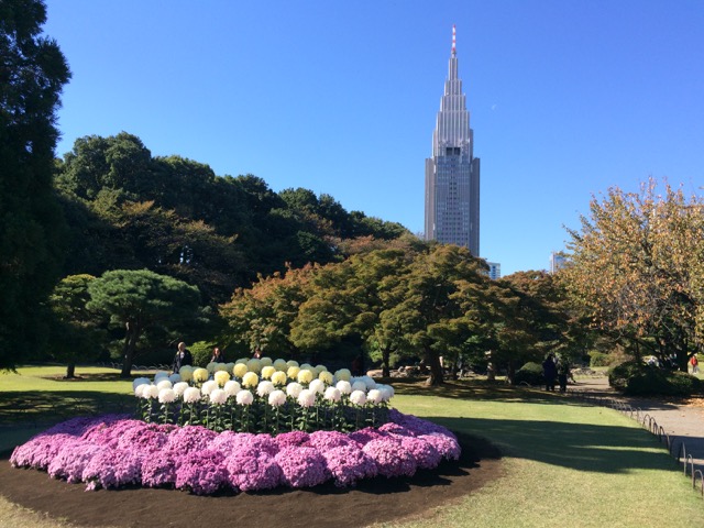 IMG_1799.jpeg