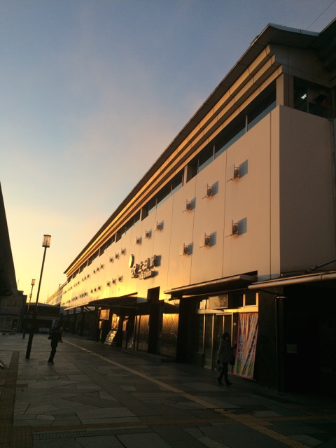 IMG_1920.jpeg