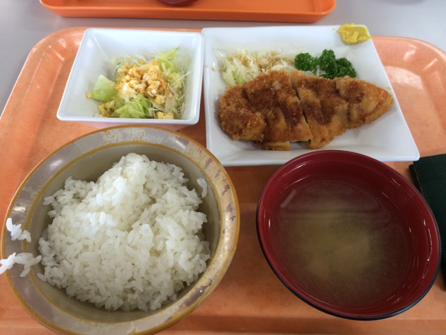 IMG_2091.jpeg