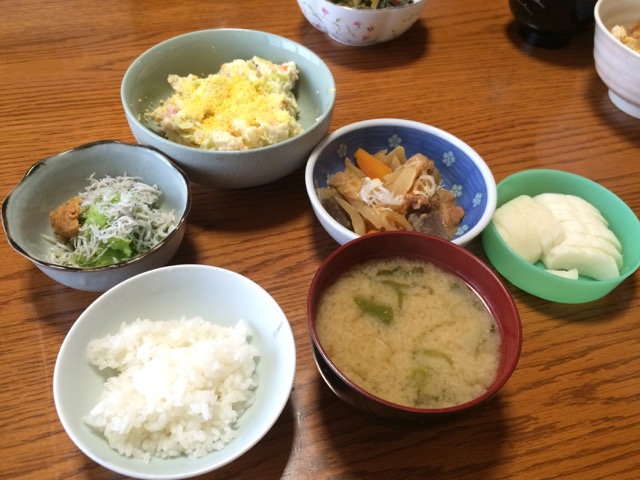 IMG_2067.jpeg