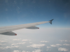2648.jpg