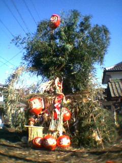 PIC_0050.JPG