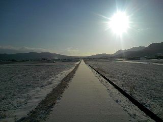 TS3E0180.JPG