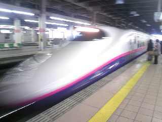TS3E0335.JPG