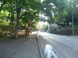 TS3E0480.JPG