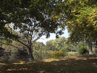 RIMG0033.jpg
