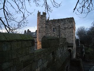R0011556.jpg