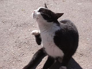R0012300.jpg