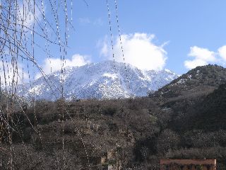 R0012037_2.jpg